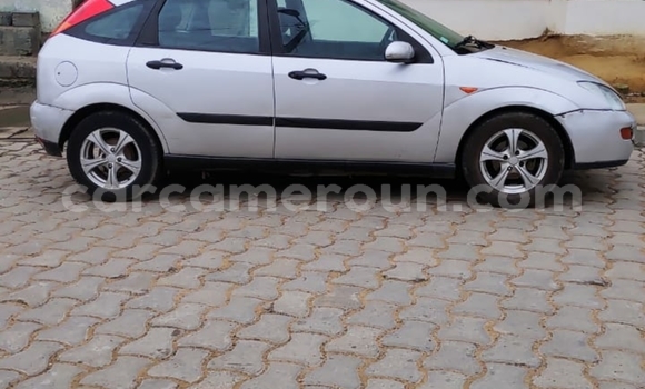 Buy Used FORD MUSTANG Silver Car in Douala in Littoral Cameroon Buy Used FORD MUSTANG Silver Car in Douala in Littoral Cameroon