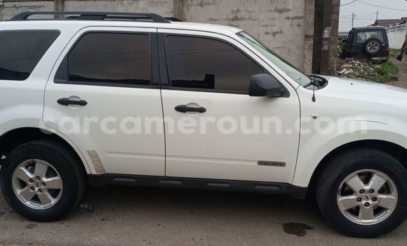 Sayi Imported Ford Escape White Mota in Douala a Ƙasar Kamaru Sayi Imported Ford Escape White Mota in Douala a Ƙasar Kamaru