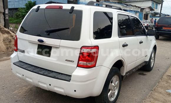 Sayi Imported Ford Escape White Mota in Douala a Ƙasar Kamaru Sayi Imported Ford Escape White Mota in Douala a Ƙasar Kamaru