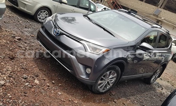 Buy Import Toyota RAV4 Silver Car in Douala in Littoral Cameroon Buy Import Toyota RAV4 Silver Car in Douala in Littoral Cameroon
