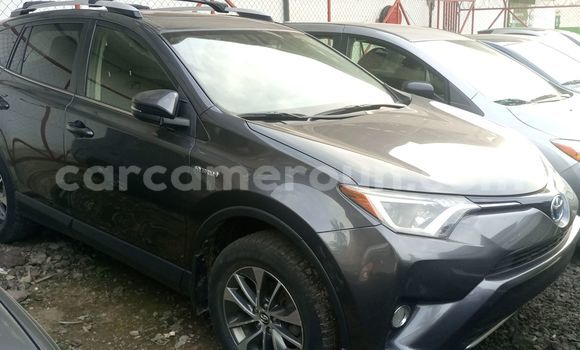 Buy Import Toyota RAV4 Silver Car in Douala in Littoral Cameroon Buy Import Toyota RAV4 Silver Car in Douala in Littoral Cameroon
