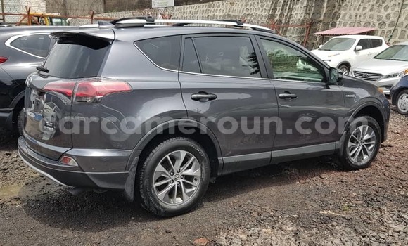 Buy Import Toyota RAV4 Silver Car in Douala in Littoral Cameroon Buy Import Toyota RAV4 Silver Car in Douala in Littoral Cameroon