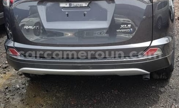 Buy Import Toyota RAV4 Silver Car in Douala in Littoral Cameroon Buy Import Toyota RAV4 Silver Car in Douala in Littoral Cameroon