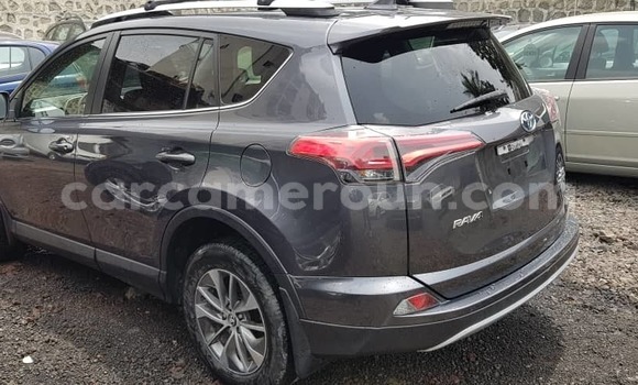 Buy Import Toyota RAV4 Silver Car in Douala in Littoral Cameroon Buy Import Toyota RAV4 Silver Car in Douala in Littoral Cameroon