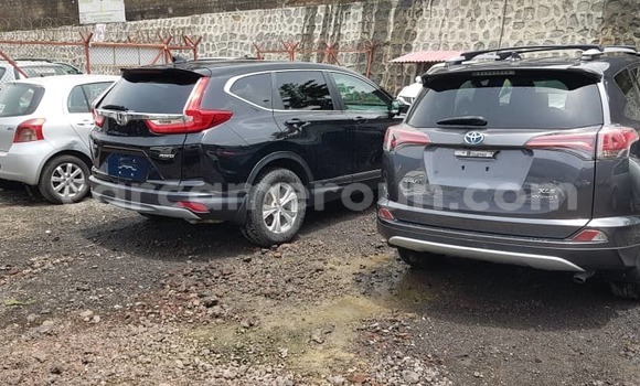 Buy Import Toyota RAV4 Silver Car in Douala in Littoral Cameroon Buy Import Toyota RAV4 Silver Car in Douala in Littoral Cameroon