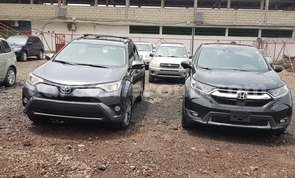 Buy Import Toyota RAV4 Silver Car in Douala in Littoral Cameroon Buy Import Toyota RAV4 Silver Car in Douala in Littoral Cameroon