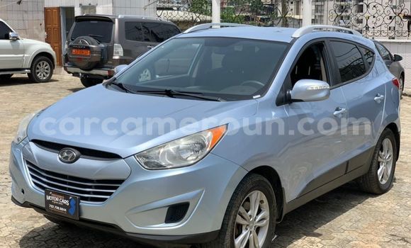 Buy Used Hyundai Tucson Other Car in Douala in Littoral Cameroon Buy Used Hyundai Tucson Other Car in Douala in Littoral Cameroon