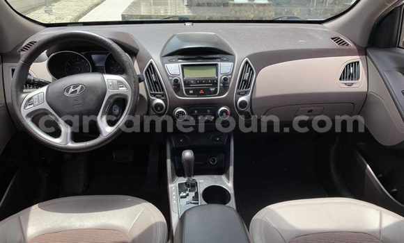 Buy Used Hyundai Tucson Other Car in Douala in Littoral Cameroon Buy Used Hyundai Tucson Other Car in Douala in Littoral Cameroon