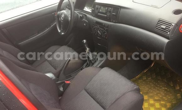 Buy Used Toyota Corolla Red Car in Douala in Littoral Cameroon Buy Used Toyota Corolla Red Car in Douala in Littoral Cameroon