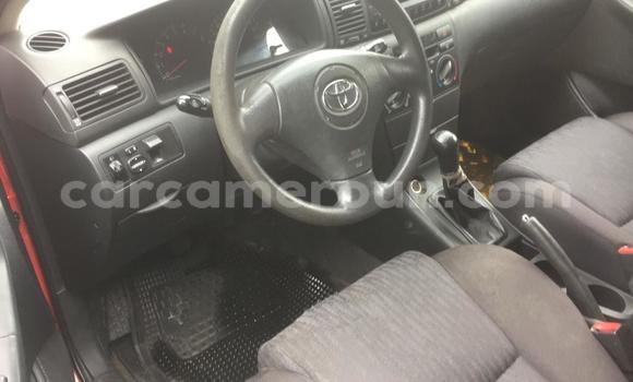 Buy Used Toyota Corolla Red Car in Douala in Littoral Cameroon Buy Used Toyota Corolla Red Car in Douala in Littoral Cameroon