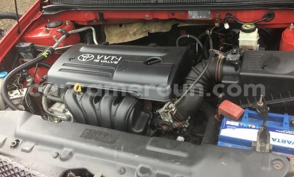 Buy Used Toyota Corolla Red Car in Douala in Littoral Cameroon Buy Used Toyota Corolla Red Car in Douala in Littoral Cameroon