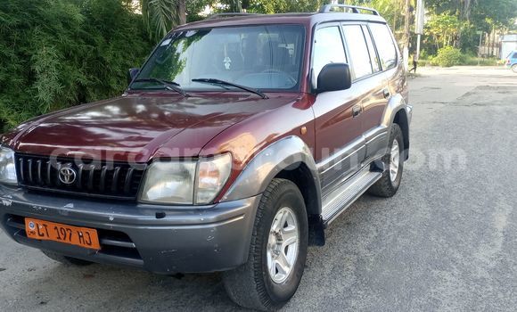 Buy Used Toyota Land Cruiser Red Car in Douala in Littoral Cameroon Buy Used Toyota Land Cruiser Red Car in Douala in Littoral Cameroon