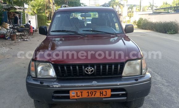 Buy Used Toyota Land Cruiser Red Car in Douala in Littoral Cameroon Buy Used Toyota Land Cruiser Red Car in Douala in Littoral Cameroon