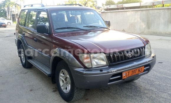 Buy Used Toyota Land Cruiser Red Car in Douala in Littoral Cameroon Buy Used Toyota Land Cruiser Red Car in Douala in Littoral Cameroon