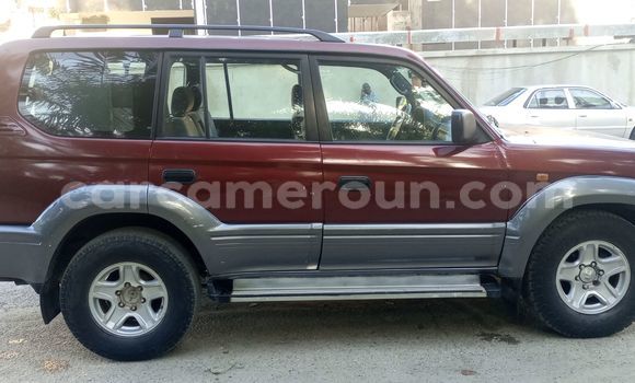 Buy Used Toyota Land Cruiser Red Car in Douala in Littoral Cameroon Buy Used Toyota Land Cruiser Red Car in Douala in Littoral Cameroon