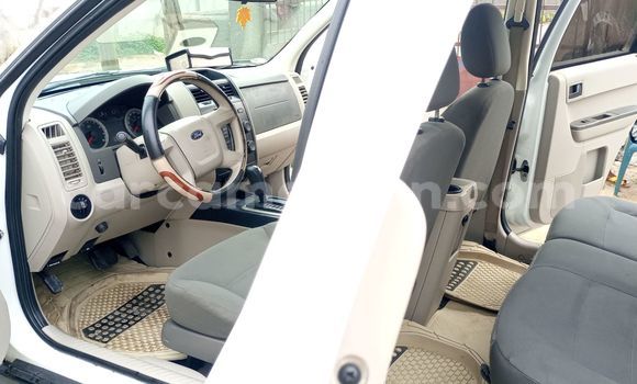 Buy Import Ford Escape White Car in Douala in Littoral Cameroon Buy Import Ford Escape White Car in Douala in Littoral Cameroon
