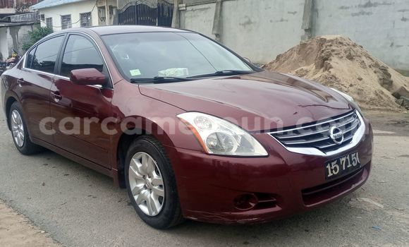 Buy Import Nissan Altima Red Car in Douala in Littoral Cameroon Buy Import Nissan Altima Red Car in Douala in Littoral Cameroon