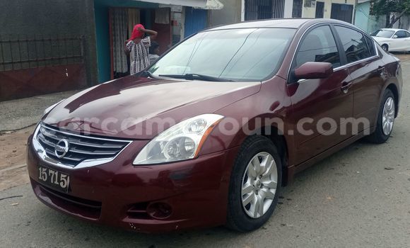 Buy Import Nissan Altima Red Car in Douala in Littoral Cameroon Buy Import Nissan Altima Red Car in Douala in Littoral Cameroon