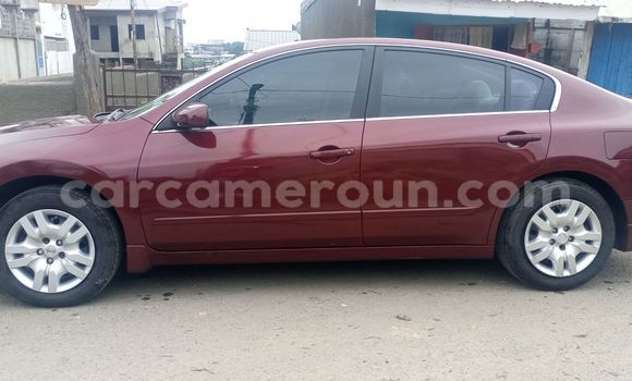 Buy Import Nissan Altima Red Car in Douala in Littoral Cameroon Buy Import Nissan Altima Red Car in Douala in Littoral Cameroon