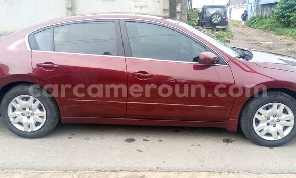 Buy Import Nissan Altima Red Car in Douala in Littoral Cameroon Buy Import Nissan Altima Red Car in Douala in Littoral Cameroon