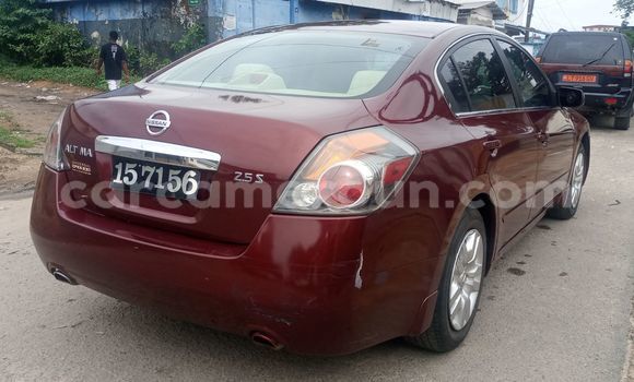 Buy Import Nissan Altima Red Car in Douala in Littoral Cameroon Buy Import Nissan Altima Red Car in Douala in Littoral Cameroon