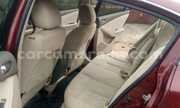 Buy Import Nissan Altima Red Car in Douala in Littoral Cameroon Buy Import Nissan Altima Red Car in Douala in Littoral Cameroon