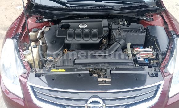 Buy Import Nissan Altima Red Car in Douala in Littoral Cameroon Buy Import Nissan Altima Red Car in Douala in Littoral Cameroon