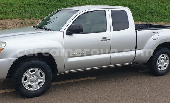 Buy Used Toyota Tacoma Silver Car in Yaounde in Central Cameroon Buy Used Toyota Tacoma Silver Car in Yaounde in Central Cameroon