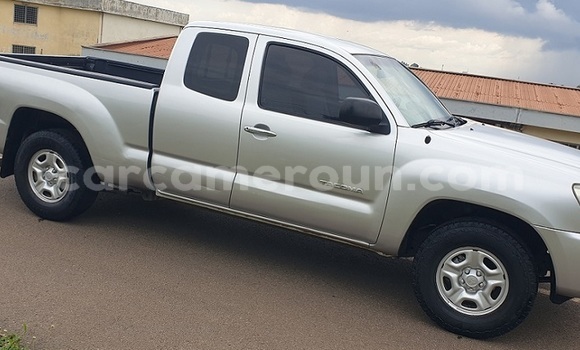 Buy Used Toyota Tacoma Silver Car in Yaounde in Central Cameroon Buy Used Toyota Tacoma Silver Car in Yaounde in Central Cameroon