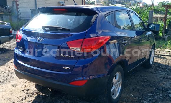 Buy Import Hyundai Tucson Blue Car in Douala in Littoral Cameroon Buy Import Hyundai Tucson Blue Car in Douala in Littoral Cameroon