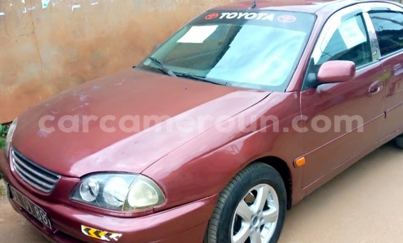 Buy Used Toyota Avensis Red Car in Yaounde in Central Cameroon Buy Used Toyota Avensis Red Car in Yaounde in Central Cameroon