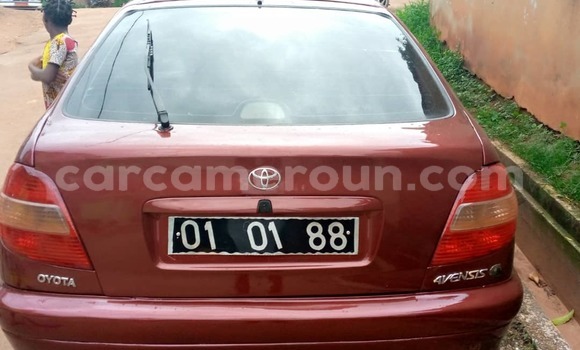 Buy Used Toyota Avensis Red Car in Yaounde in Central Cameroon Buy Used Toyota Avensis Red Car in Yaounde in Central Cameroon