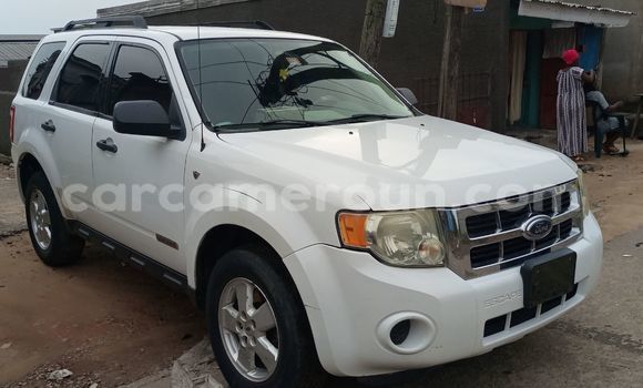 Buy Import Ford Escape White Car in Douala in Littoral Cameroon Buy Import Ford Escape White Car in Douala in Littoral Cameroon