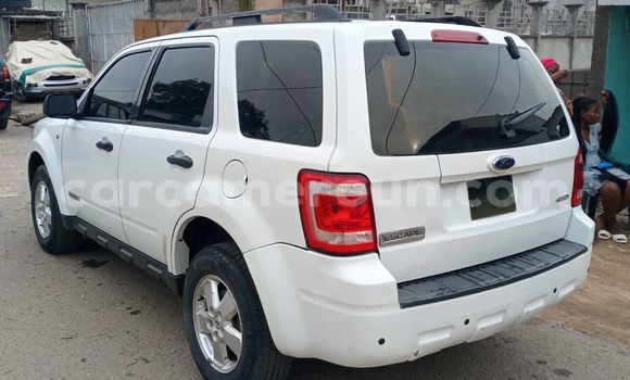 Buy Import Ford Escape White Car in Douala in Littoral Cameroon Buy Import Ford Escape White Car in Douala in Littoral Cameroon
