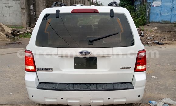 Buy Import Ford Escape White Car in Douala in Littoral Cameroon Buy Import Ford Escape White Car in Douala in Littoral Cameroon