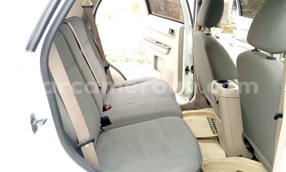 Buy Import Ford Escape White Car in Douala in Littoral Cameroon Buy Import Ford Escape White Car in Douala in Littoral Cameroon