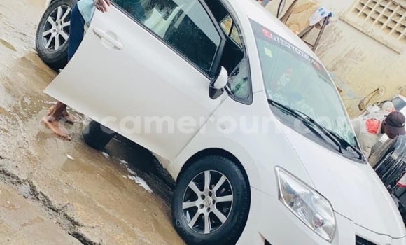 Acheter Import Voiture Toyota Auris Blanc à Yaoundé, Central Cameroon Acheter Import Voiture Toyota Auris Blanc à Yaoundé, Central Cameroon