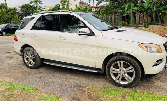 Buy New Mercedes‒Benz ML–Class White Car in Yaounde in Central Cameroon Buy New Mercedes‒Benz ML–Class White Car in Yaounde in Central Cameroon