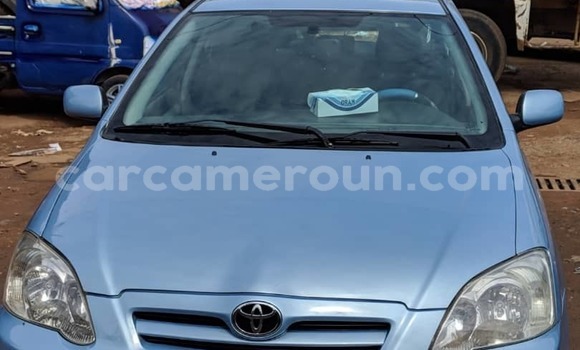 Acheter Occasion Voiture Toyota Runx Bleu à Yaoundé, Central Cameroon Acheter Occasion Voiture Toyota Runx Bleu à Yaoundé, Central Cameroon