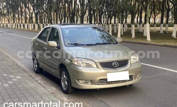 Sayi Na hannu Toyota Vios Azurfa Mota in Abong–Mbang a Gabas Kamaru Sayi Na hannu Toyota Vios Azurfa Mota in Abong–Mbang a Gabas Kamaru