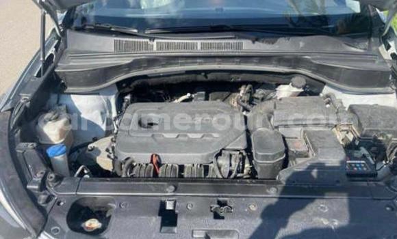 Buy Used Hyundai Santa Fe Silver Car in Yaounde in Central Cameroon Buy Used Hyundai Santa Fe Silver Car in Yaounde in Central Cameroon