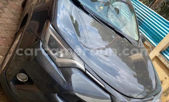 Acheter Occasion Voiture Toyota RAV4 Gris à Yaoundé, Central Cameroon Acheter Occasion Voiture Toyota RAV4 Gris à Yaoundé, Central Cameroon