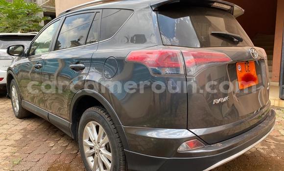 Acheter Occasion Voiture Toyota RAV4 Gris à Yaoundé, Central Cameroon Acheter Occasion Voiture Toyota RAV4 Gris à Yaoundé, Central Cameroon