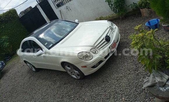 Sayi Na hannu Mercedes‒Benz E–Class White Mota in Douala a Ƙasar Kamaru Sayi Na hannu Mercedes‒Benz E–Class White Mota in Douala a Ƙasar Kamaru
