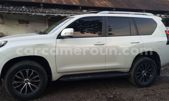 Buy New Toyota Land Cruiser Prado Silver Car in Douala in Littoral Cameroon Buy New Toyota Land Cruiser Prado Silver Car in Douala in Littoral Cameroon