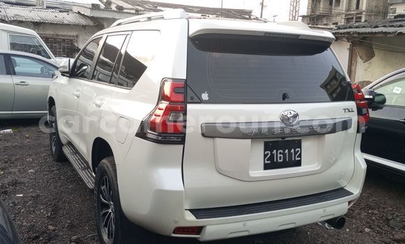 Buy New Toyota Land Cruiser Prado Silver Car in Douala in Littoral Cameroon Buy New Toyota Land Cruiser Prado Silver Car in Douala in Littoral Cameroon