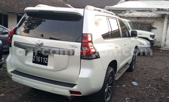 Buy New Toyota Land Cruiser Prado Silver Car in Douala in Littoral Cameroon Buy New Toyota Land Cruiser Prado Silver Car in Douala in Littoral Cameroon