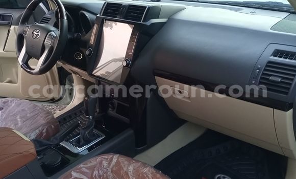 Buy New Toyota Land Cruiser Prado Silver Car in Douala in Littoral Cameroon Buy New Toyota Land Cruiser Prado Silver Car in Douala in Littoral Cameroon