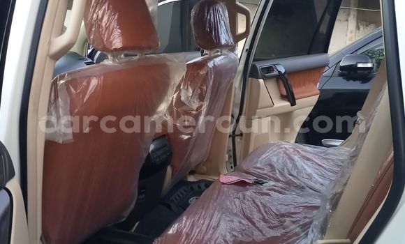 Buy New Toyota Land Cruiser Prado Silver Car in Douala in Littoral Cameroon Buy New Toyota Land Cruiser Prado Silver Car in Douala in Littoral Cameroon
