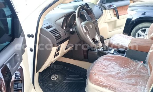 Buy New Toyota Land Cruiser Prado Silver Car in Douala in Littoral Cameroon Buy New Toyota Land Cruiser Prado Silver Car in Douala in Littoral Cameroon